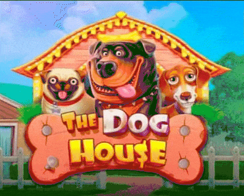 play the dog house in zoccer casino