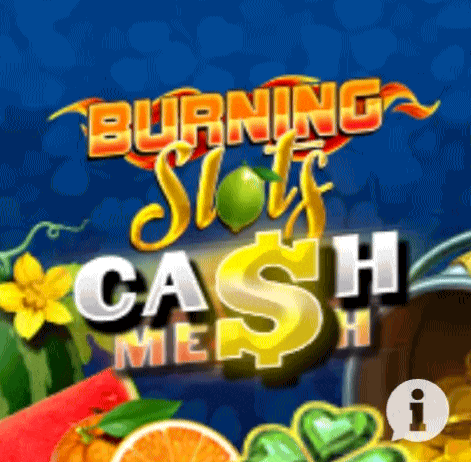 play burning slots in zoccer casino